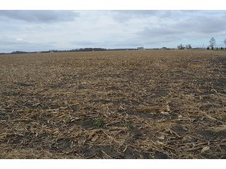 Property photo 17 - LAND AUCTION - 276.5+/- ACRES OFFERED IN 5 TRACTS IN EAST ALLEN COUNTY